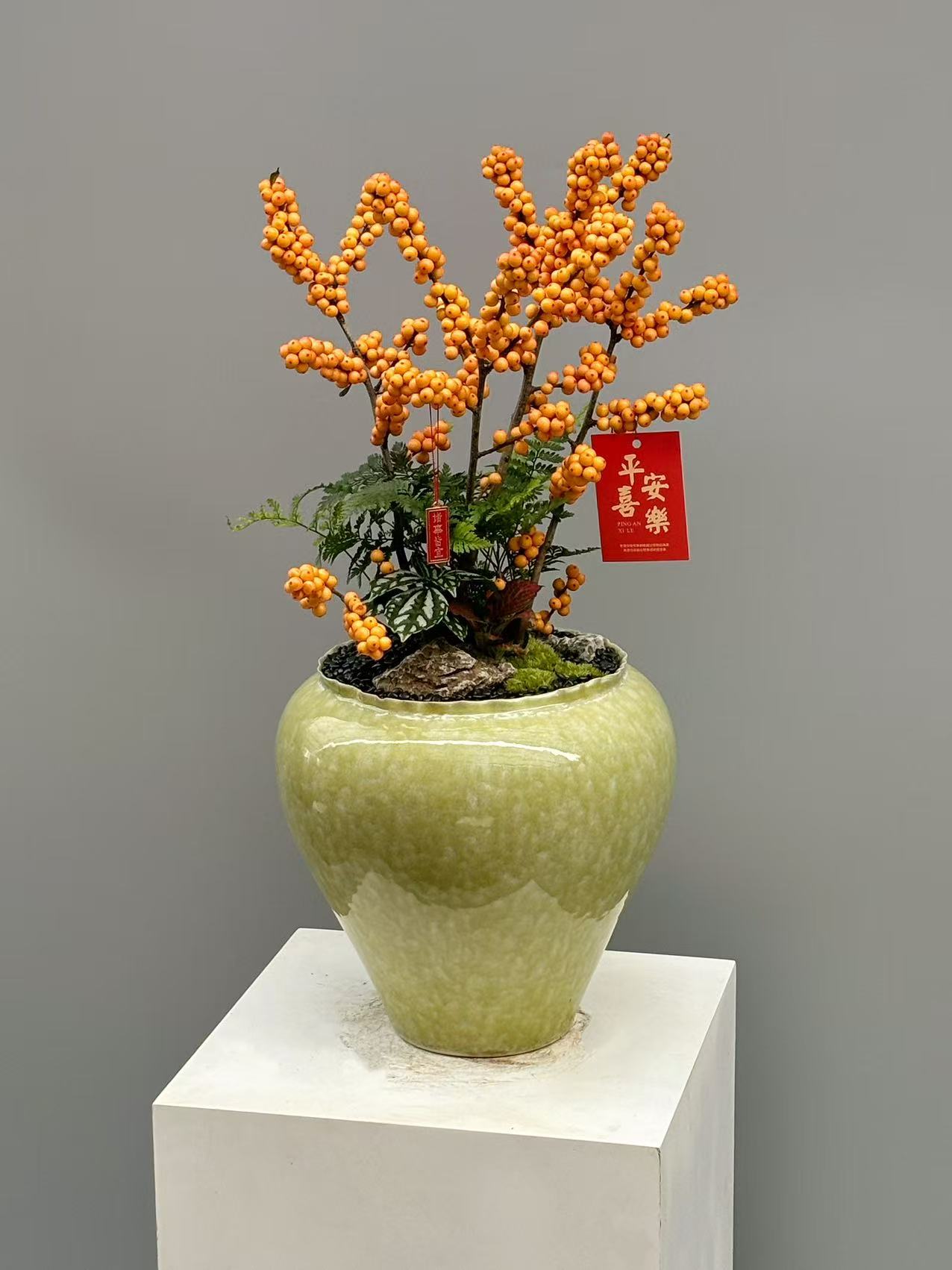 橙果冬青觀果盆景配綠葉及綠釉盆
